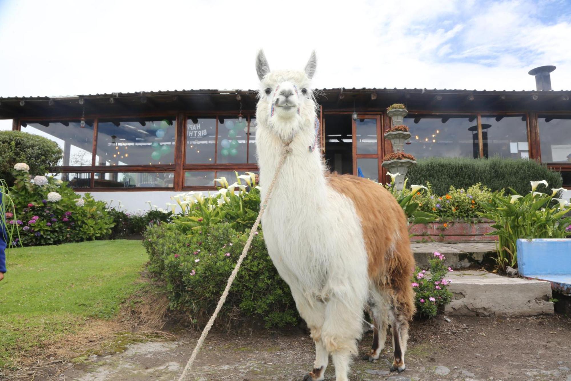 Hacienda El Rejo Villa Machachi Kültér fotó