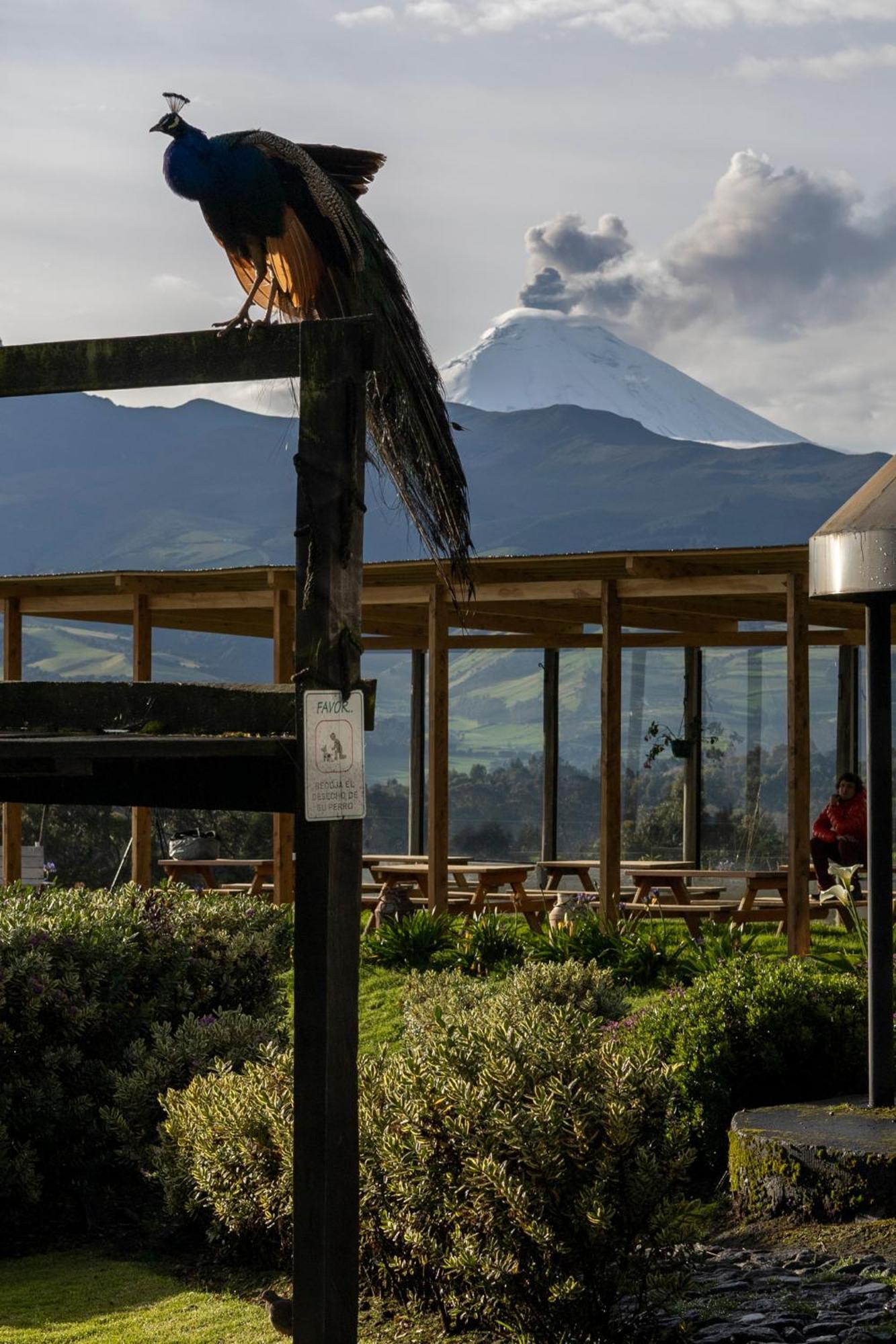 Hacienda El Rejo Villa Machachi Kültér fotó