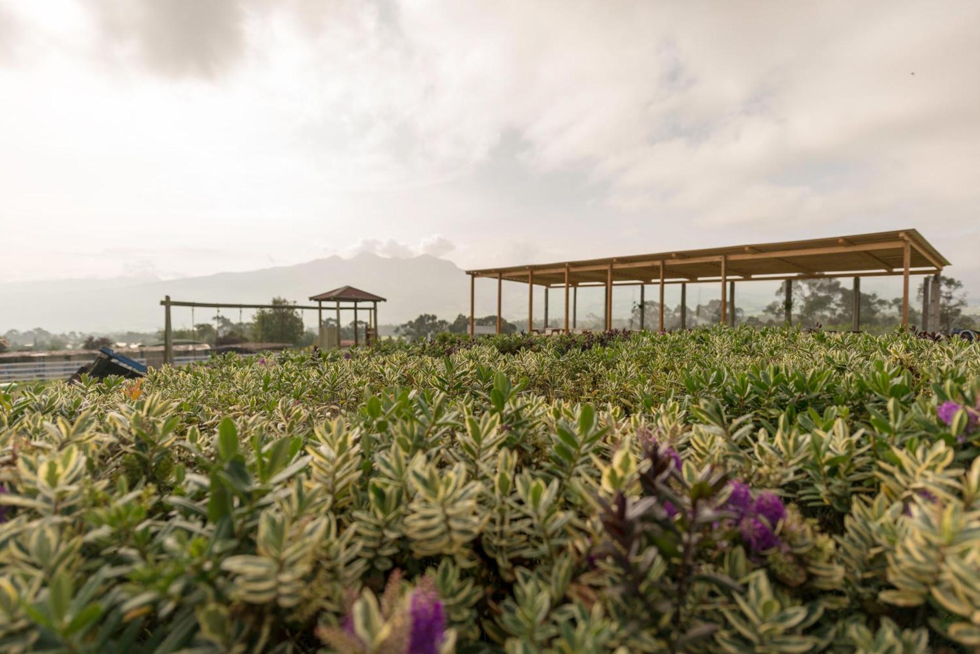 Hacienda El Rejo Villa Machachi Kültér fotó